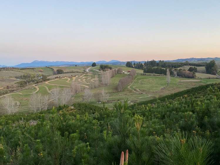 273 Old House Road Upper Moutere_8