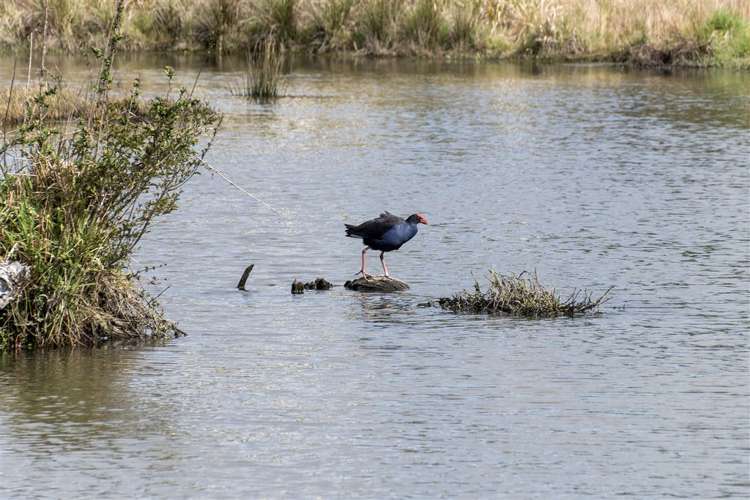 115 Watling Street Gate Pa_12