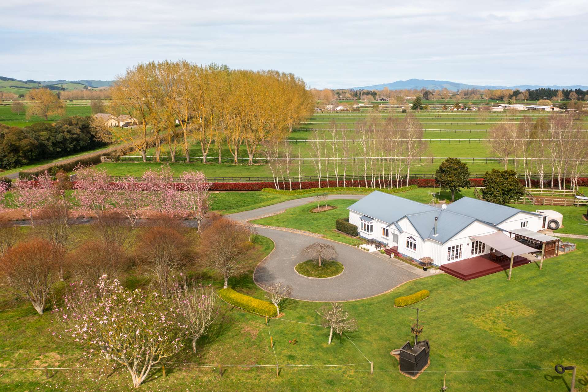 188 Bellevue Road Matangi_0