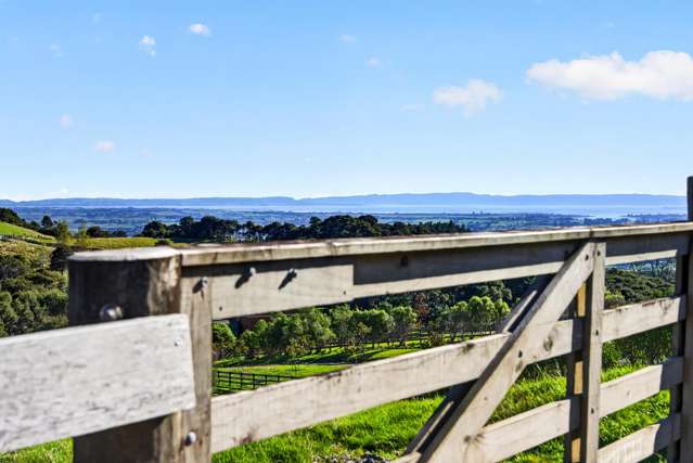 115 Sonja Drive Hunua_4