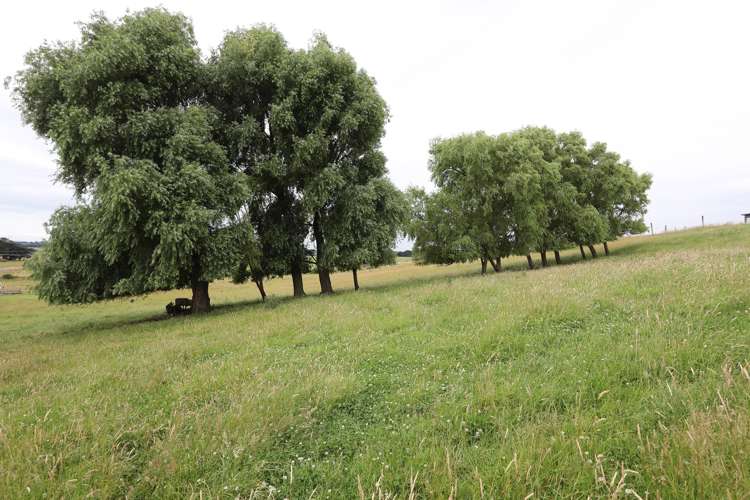 2 Viles Road Bulls_22