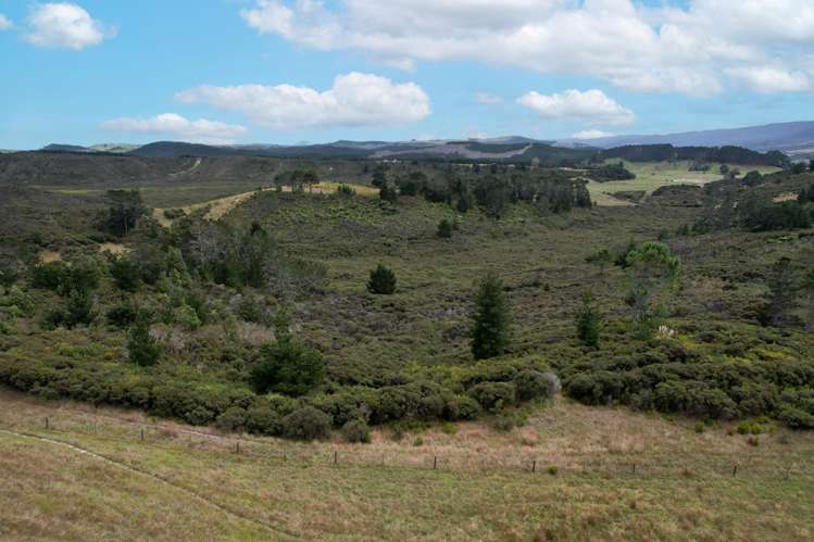 State Highway 12 Dargaville_5