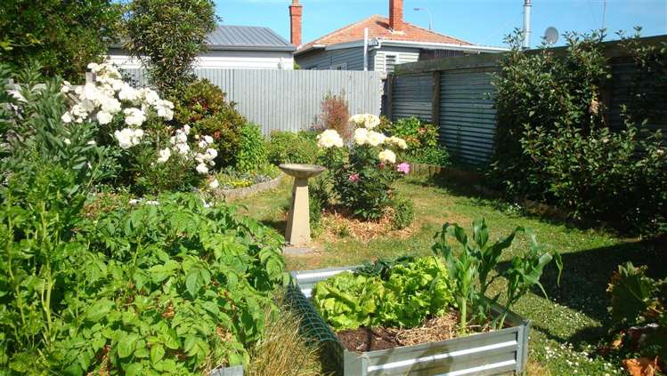 53 Raymond Street West End_12