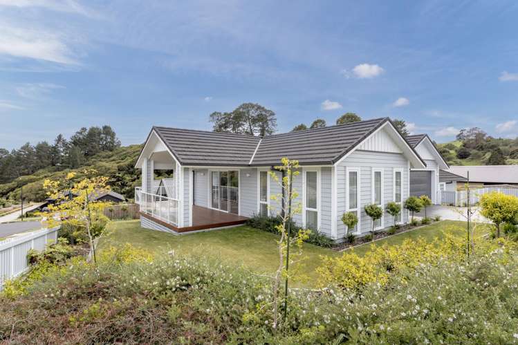 99 Adler Drive_0