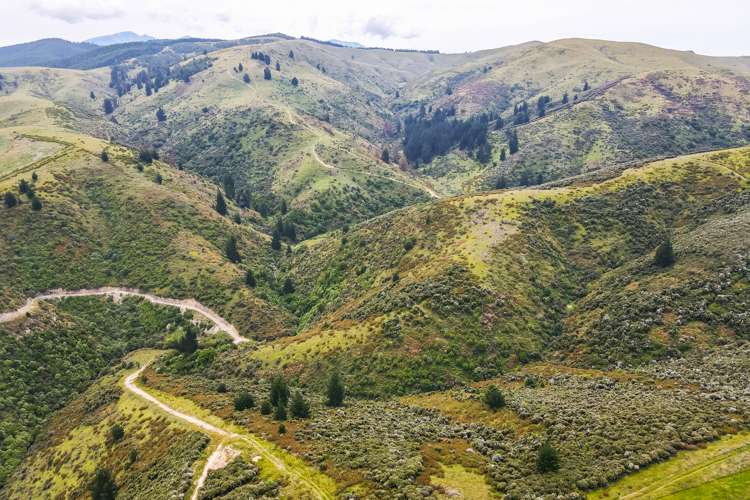 Mcintosh Road Geraldine_3