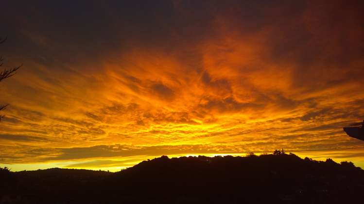 42 Sailmaker Close Whitby_5