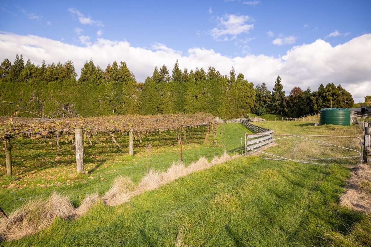 193 Maungarangi Road_5