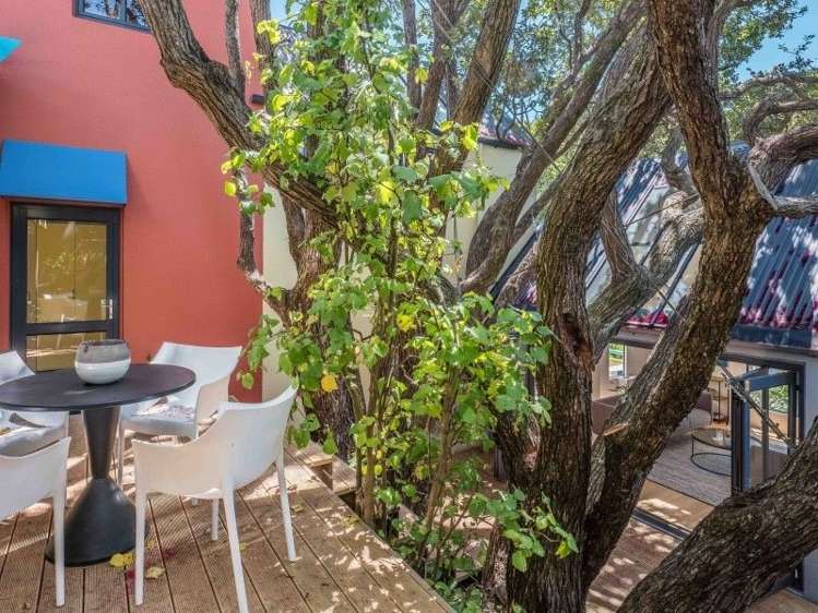 19 Everton Terrace Kelburn_9