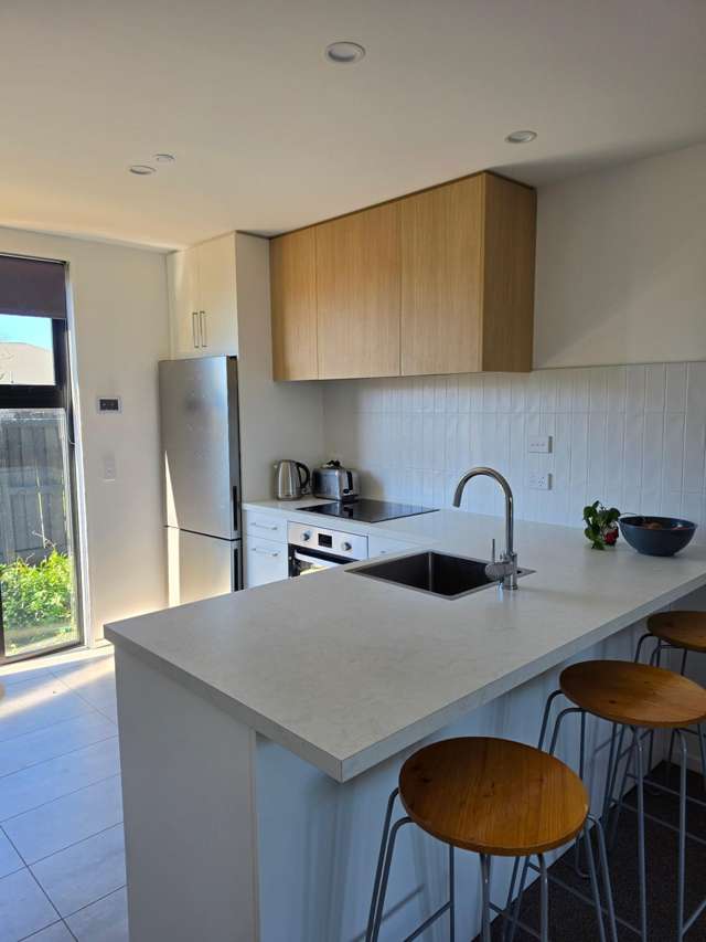 4/38 Wellington Street Phillipstown_1