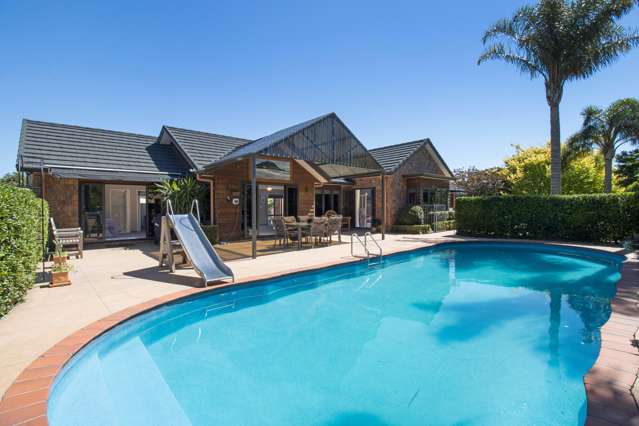 Old Highway Whakamarama_3