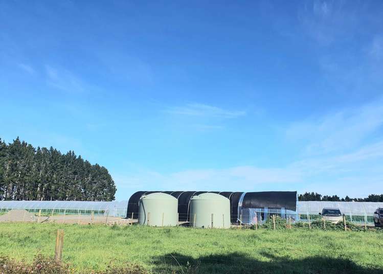 7 Ridge Road Tuakau_25