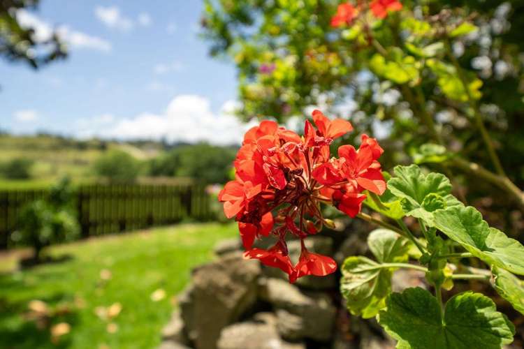 56B King Street Hikurangi_21