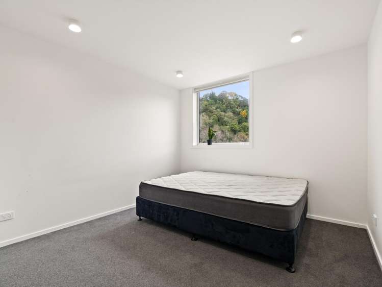 1 2 3/33 Malvern Street, Woodhaugh_8