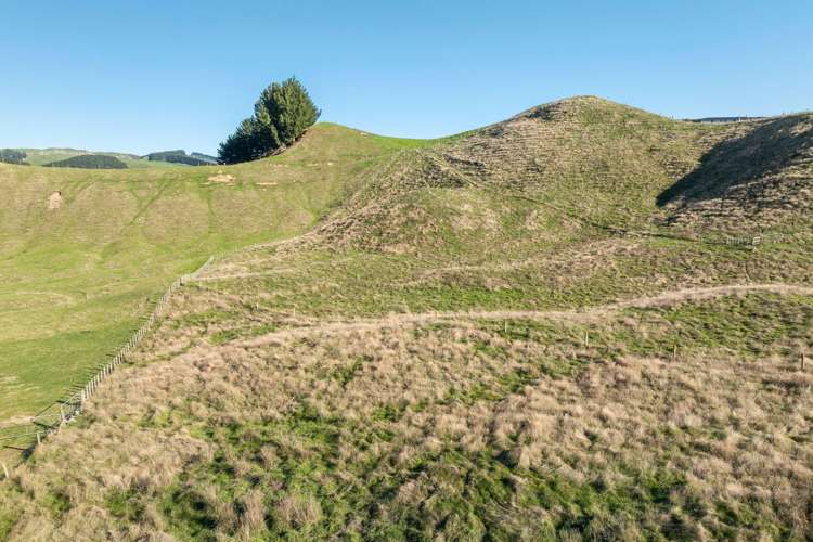 Proposed Lot 2, 67 Hitiri Road Kinloch_7