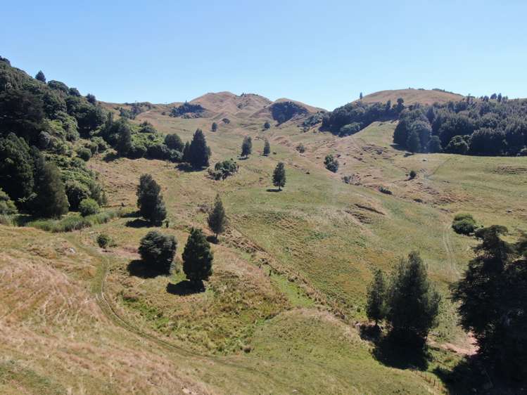 1246 State Highway 3 Te Kuiti_10