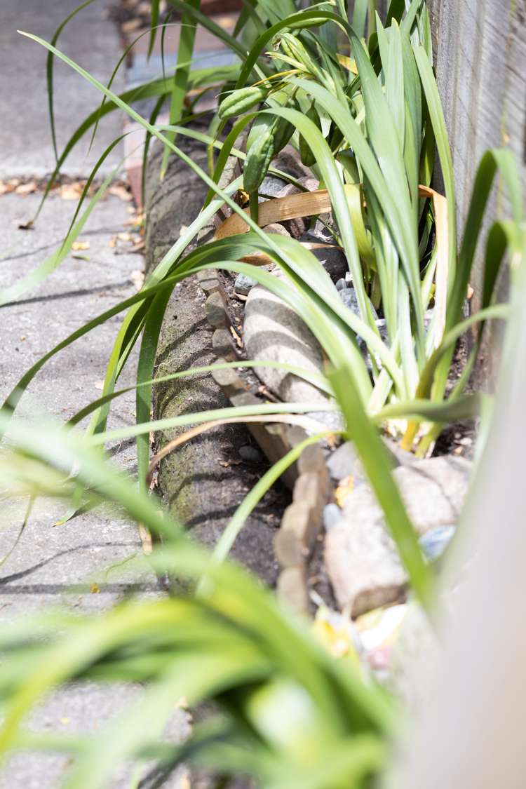 3/34 Holly Road Saint Albans_20