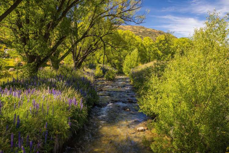 2347 Cardrona Valley Road Cardrona_22