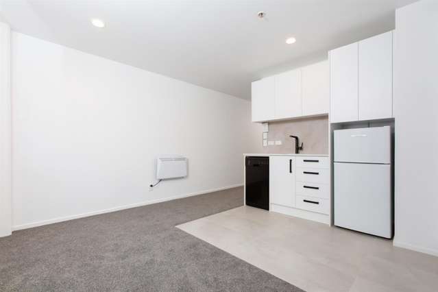 1d/15 Blake Street Ponsonby_4