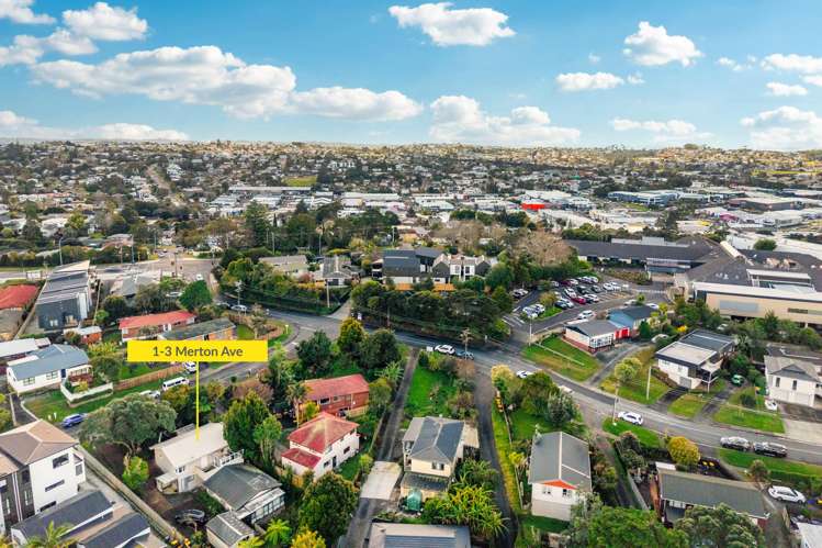 1/3 Merton Avenue Glenfield_13