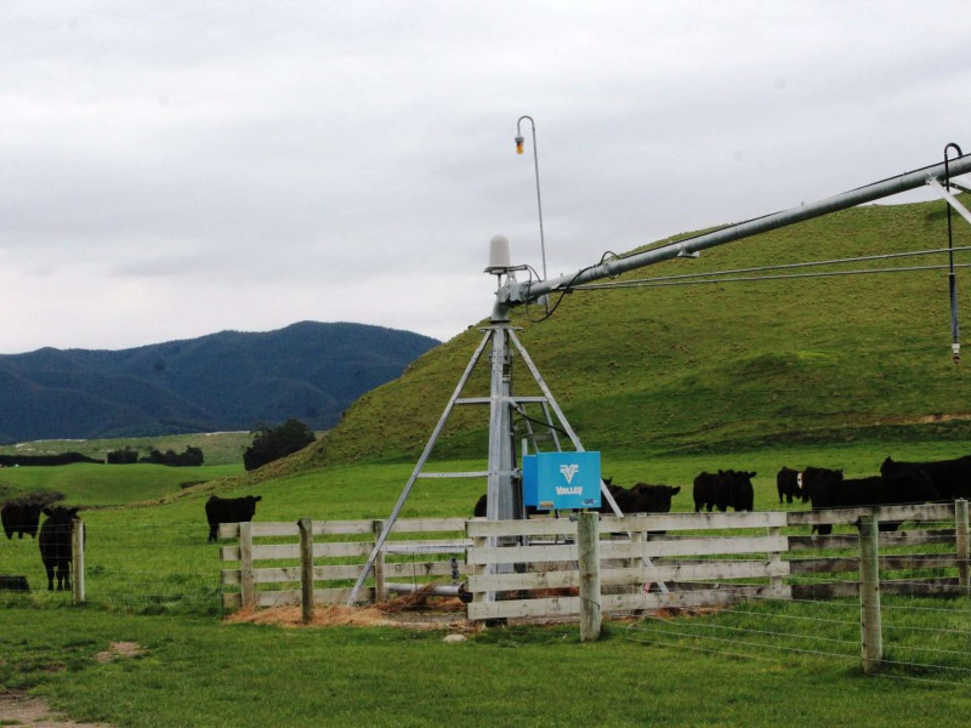 528 Ram Paddock Road Broomfield_0