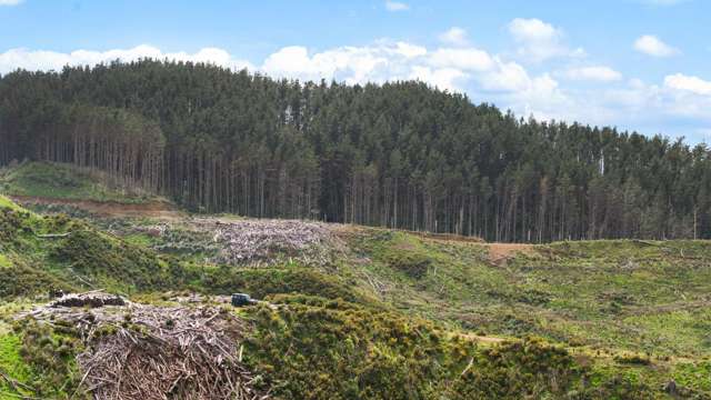 1335 Klondyke Road Port Waikato_2