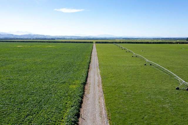 Morgans Road Hororata_4