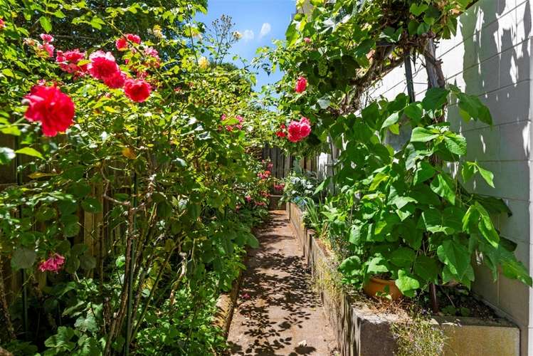 349 Old Taupo Road Springfield_12