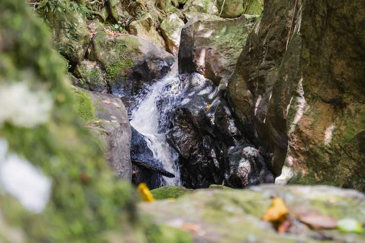 76 Forest View Road Kamo_27