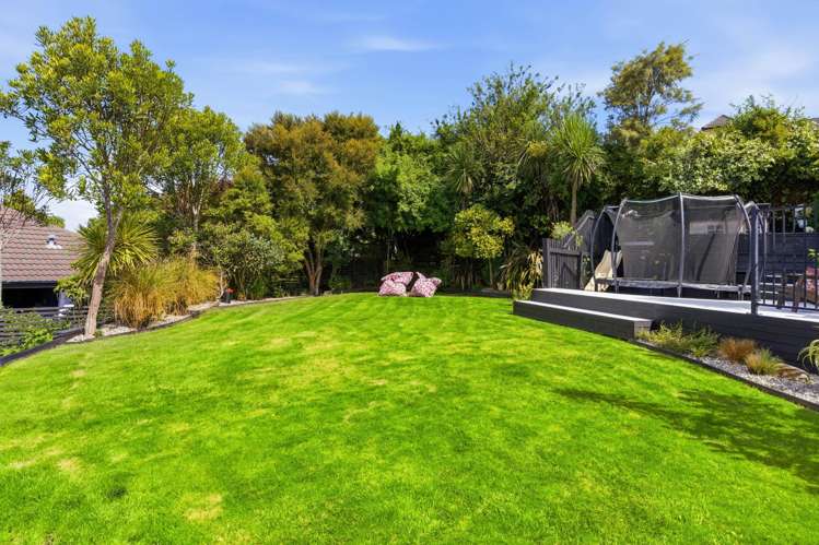 37 Earls Road St Clair_33