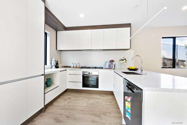 55 Mita Road Silverdale_1