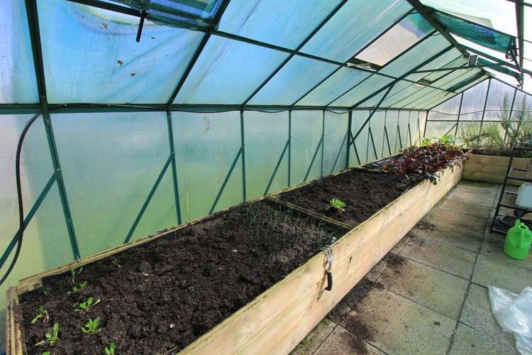 178 Baird Road Tokoroa_16