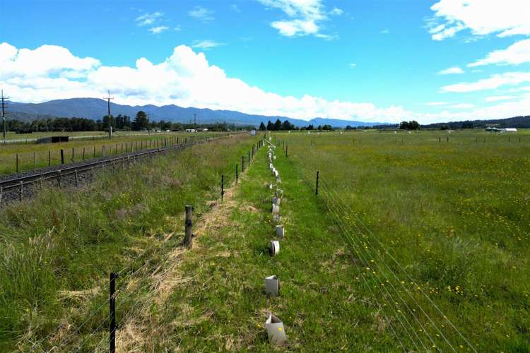 Gannon's Road Reefton_6