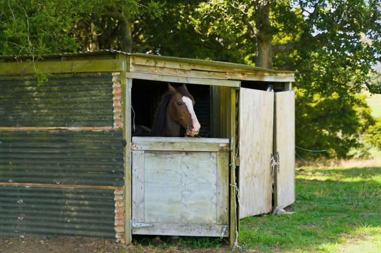 641 Tokiri Road Titoki_27