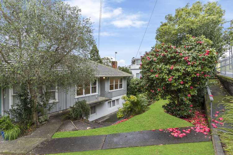 9C Glover Road St Heliers_11