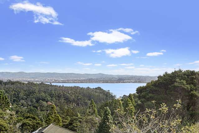 20 Waipa Street Birkenhead_3