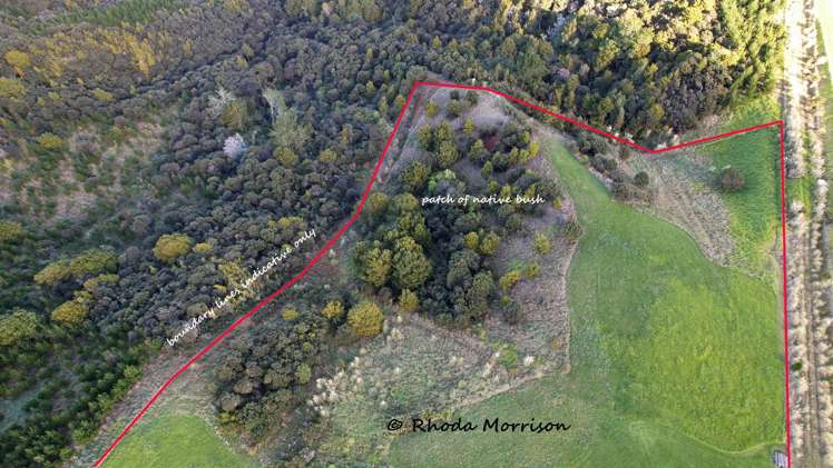 986 Tinopai Road Matakohe_17