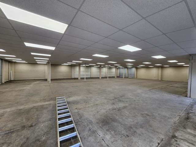 81 Greenwood Street Frankton_4