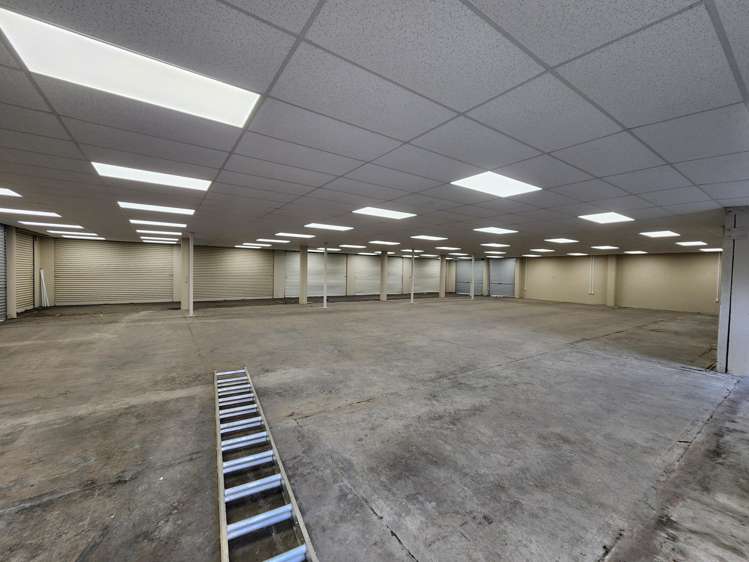 81 Greenwood Street Frankton_4