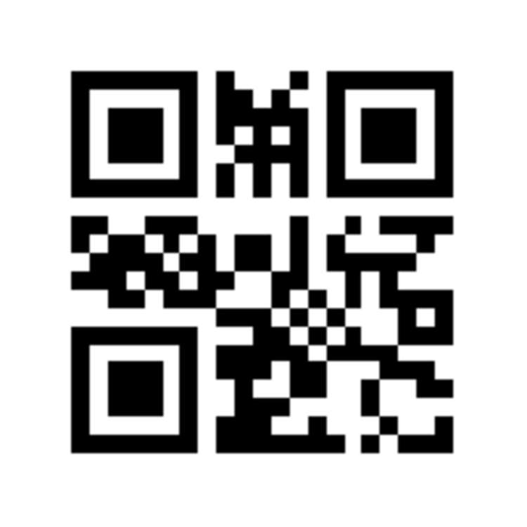 30 Robinson Crescent Tamatea_13