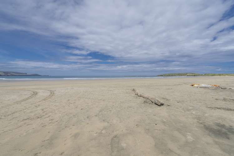 497 Waikawa Curio Bay Road Wyndham Surrounds_15