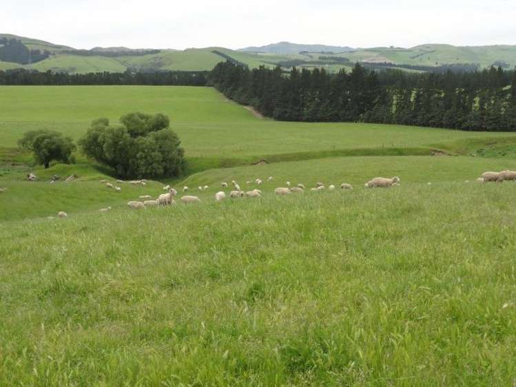 573 Glenmark Drive Waipara_10