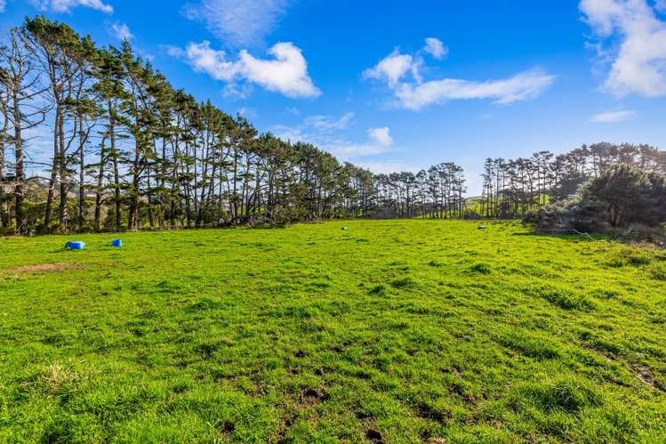 276 Taiapa Road Muriwai_4