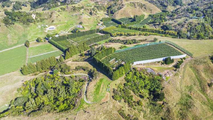 443C State Highway 2 Opotiki_10