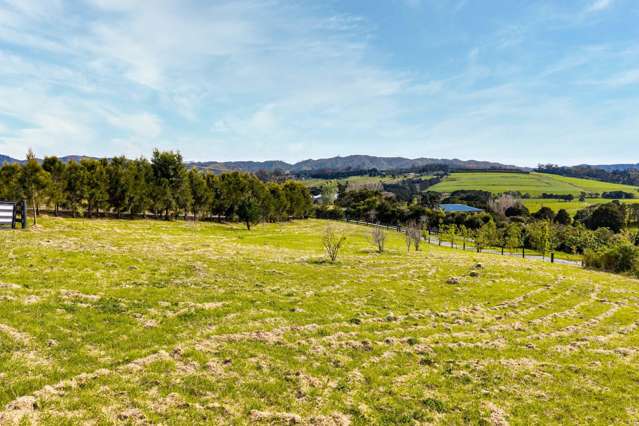 86 Hilltop road Hakaru_4