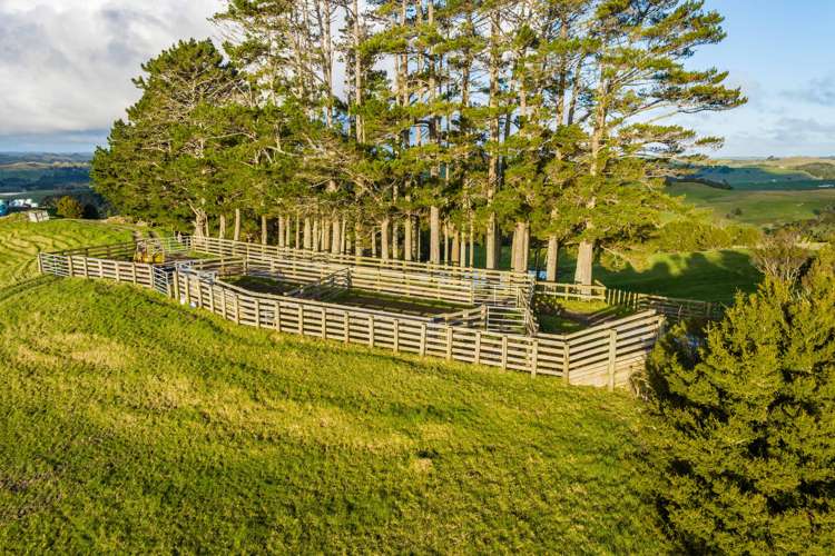 85 Lusk Road Ruawai_5