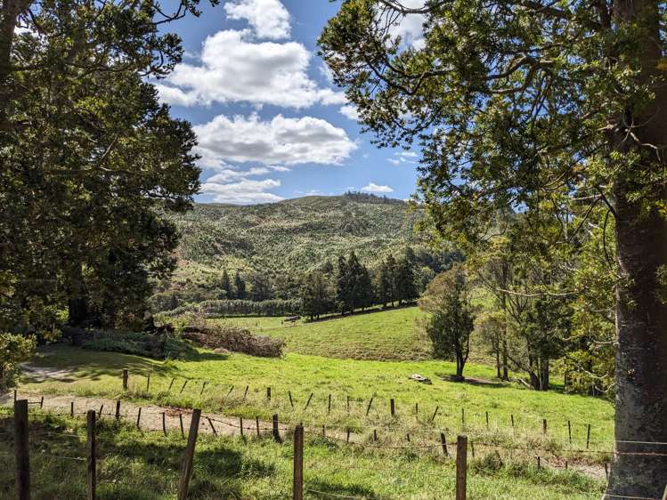 360 Burnside Road Makarau_7