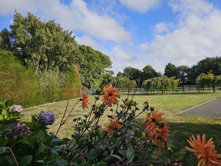 93 Pohutukawa Drive Levin_17