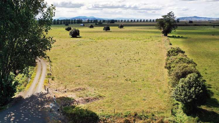 449 Piako Road Gordonton_2