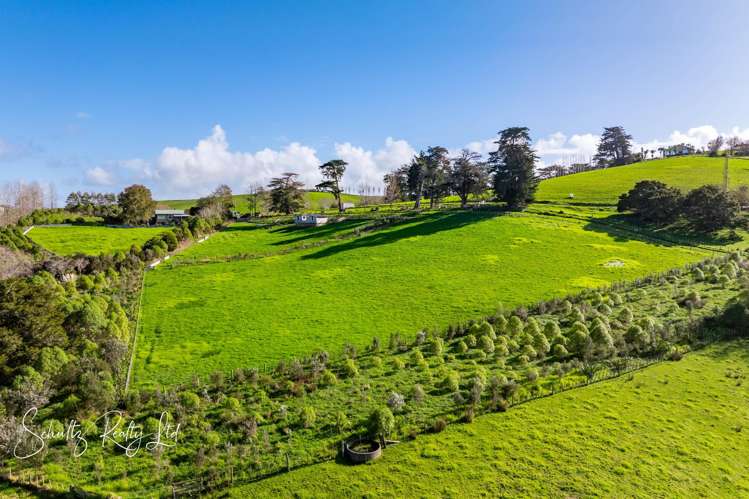 Petley Road Paparoa_17