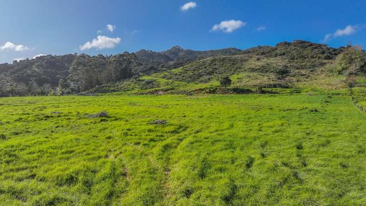 3195A Tiki Road_3